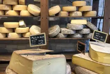 Les équipements et ustensiles essentiels à la réussite d'une activité fromagère et laitière