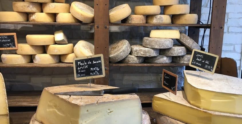 Les équipements et ustensiles essentiels à la réussite d'une activité fromagère et laitière
