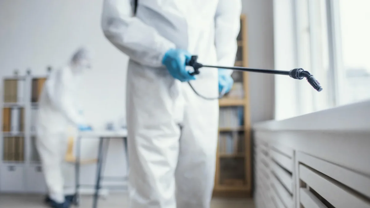 Rats à Rennes : pourquoi les infestations progressent et comment y répondre efficacement ?