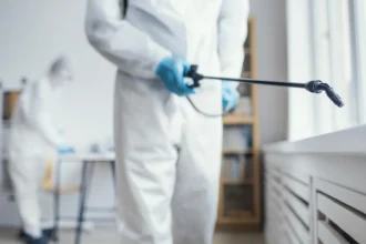Rats à Rennes : pourquoi les infestations progressent et comment y répondre efficacement ?