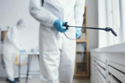 Rats à Rennes : pourquoi les infestations progressent et comment y répondre efficacement ?